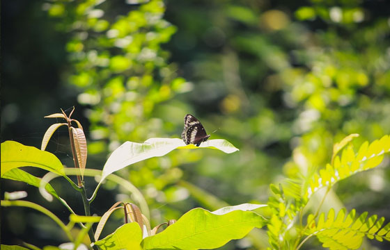 宣傳片動(dòng)畫(huà)視頻制作能傳達(dá)什么?